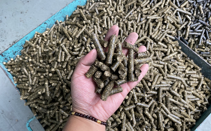 生物質顆粒機的顆粒燃料