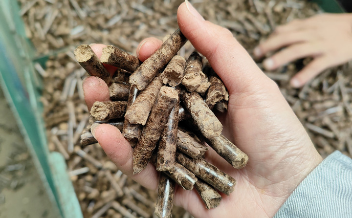 生物質顆粒機加工的顆粒燃料