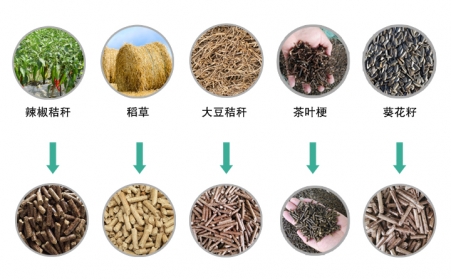 生物質顆粒機械推動生物質能源發展